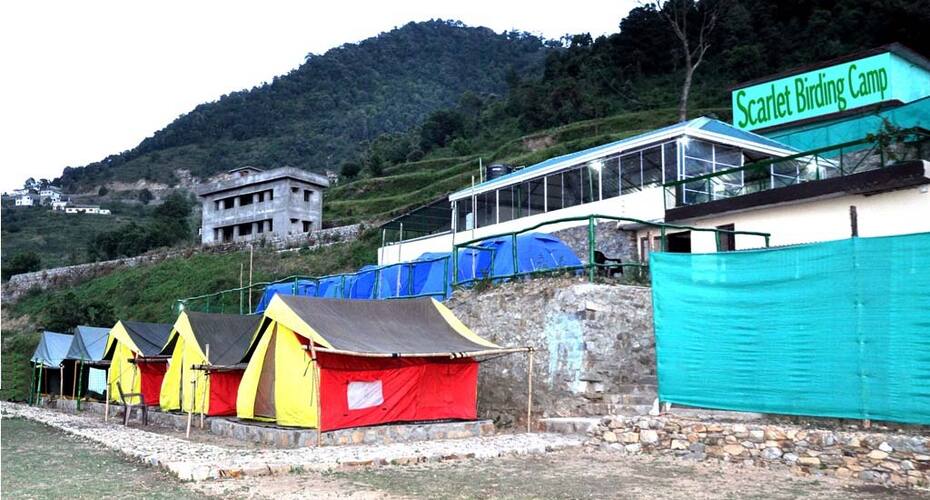 Scarlet Birding Camp, Pangot 1